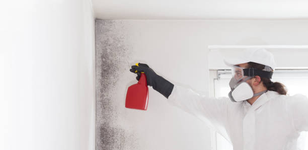 Best Mold Remediation Services  in Red Rock, AZ